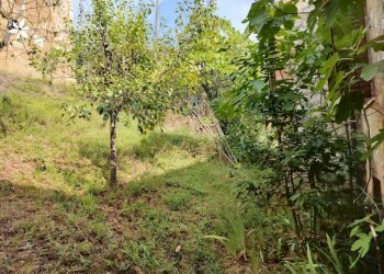 \nFoto 36\n - Appartamento Via delle More, Montalcino - foto 36