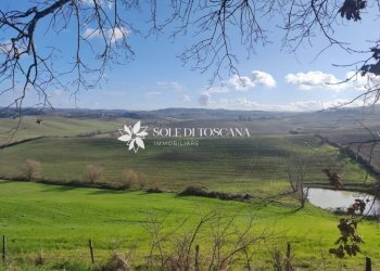 \nFoto 8\n - Rustico Podere Vallosi
 
24, Montalcino - foto 8