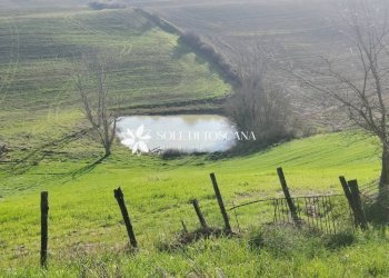 \nFoto 9\n - Rustico Podere Vallosi
 
24, Montalcino - foto 9