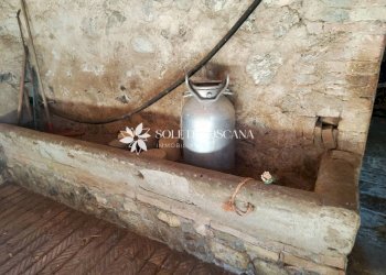 \nFoto 43\n - Rustico Podere Vallosi
 
24, Montalcino - foto 43