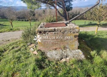 \nFoto 49\n - Rustico Podere Vallosi
 
24, Montalcino - foto 49