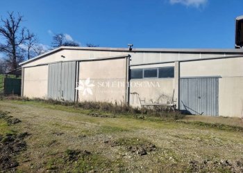 \nFoto 51\n - Rustico Podere Vallosi
 
24, Montalcino - foto 51