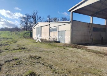 \nFoto 52\n - Rustico Podere Vallosi
 
24, Montalcino - foto 52