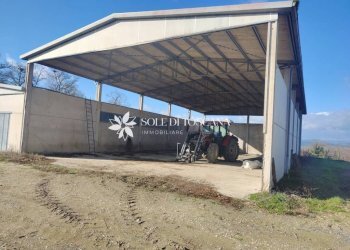 \nFoto 53\n - Rustico Podere Vallosi
 
24, Montalcino - foto 53