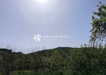 Foto 30 - Rustico Loc. Abbadia Sicille, Trequanda - foto 30