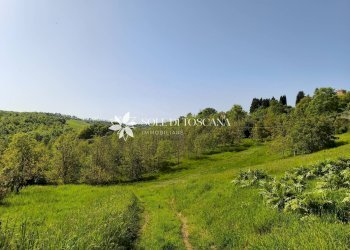 Foto 31 - Rustico Loc. Abbadia Sicille, Trequanda - foto 31