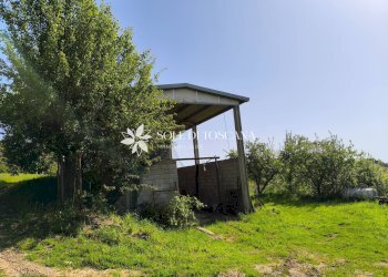 Foto 32 - Rustico Loc. Abbadia Sicille, Trequanda - foto 32