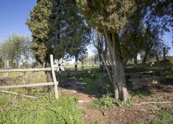 \nFoto 7\n - Azienda agricola Montalcino - foto 7