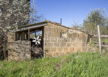 \nFoto 8\n - Azienda agricola Montalcino - foto 8