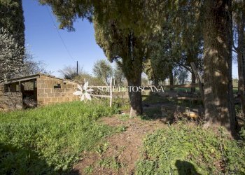 \nFoto 9\n - Azienda agricola Montalcino - foto 9
