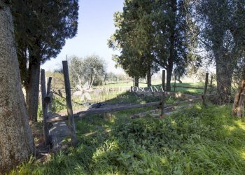 \nFoto 11\n - Azienda agricola Montalcino - foto 11
