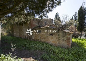\nFoto 13\n - Azienda agricola Montalcino - foto 13