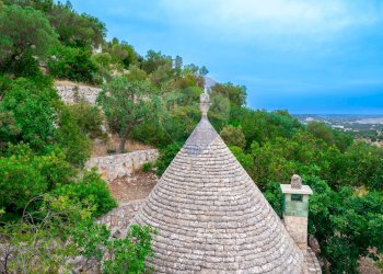 Giardino - Villa Contrada Gravinella
 
SNC, Fasano - foto 39