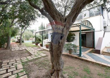 Giardino - Villa Viale dei Pini, Noicàttaro - foto 20