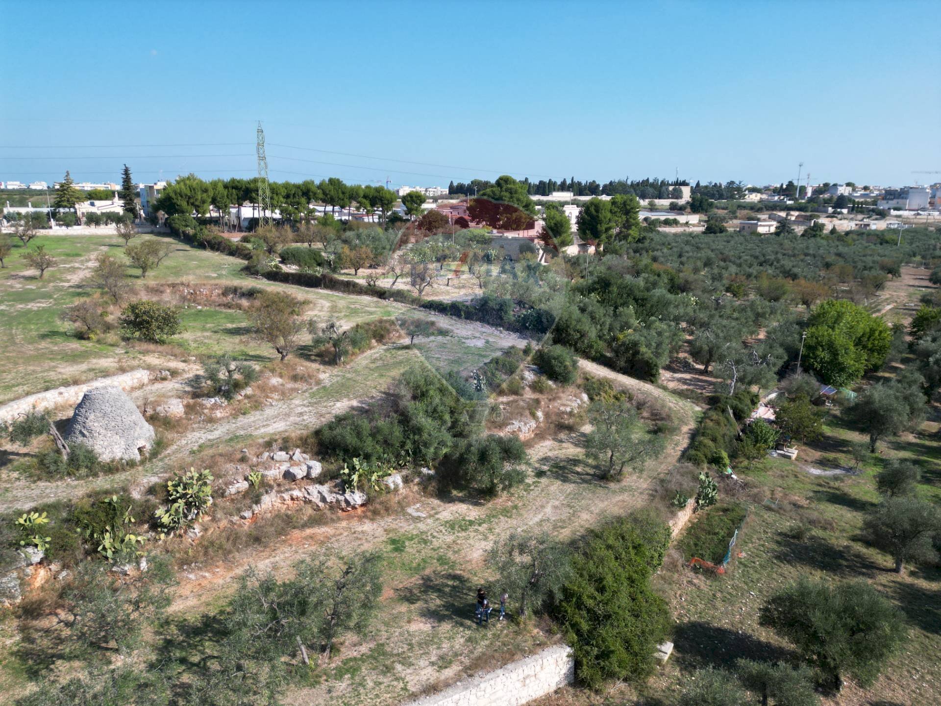 Vista delle montagne - Agricultural land Contrada Casalicchio, Bitonto - photo 1