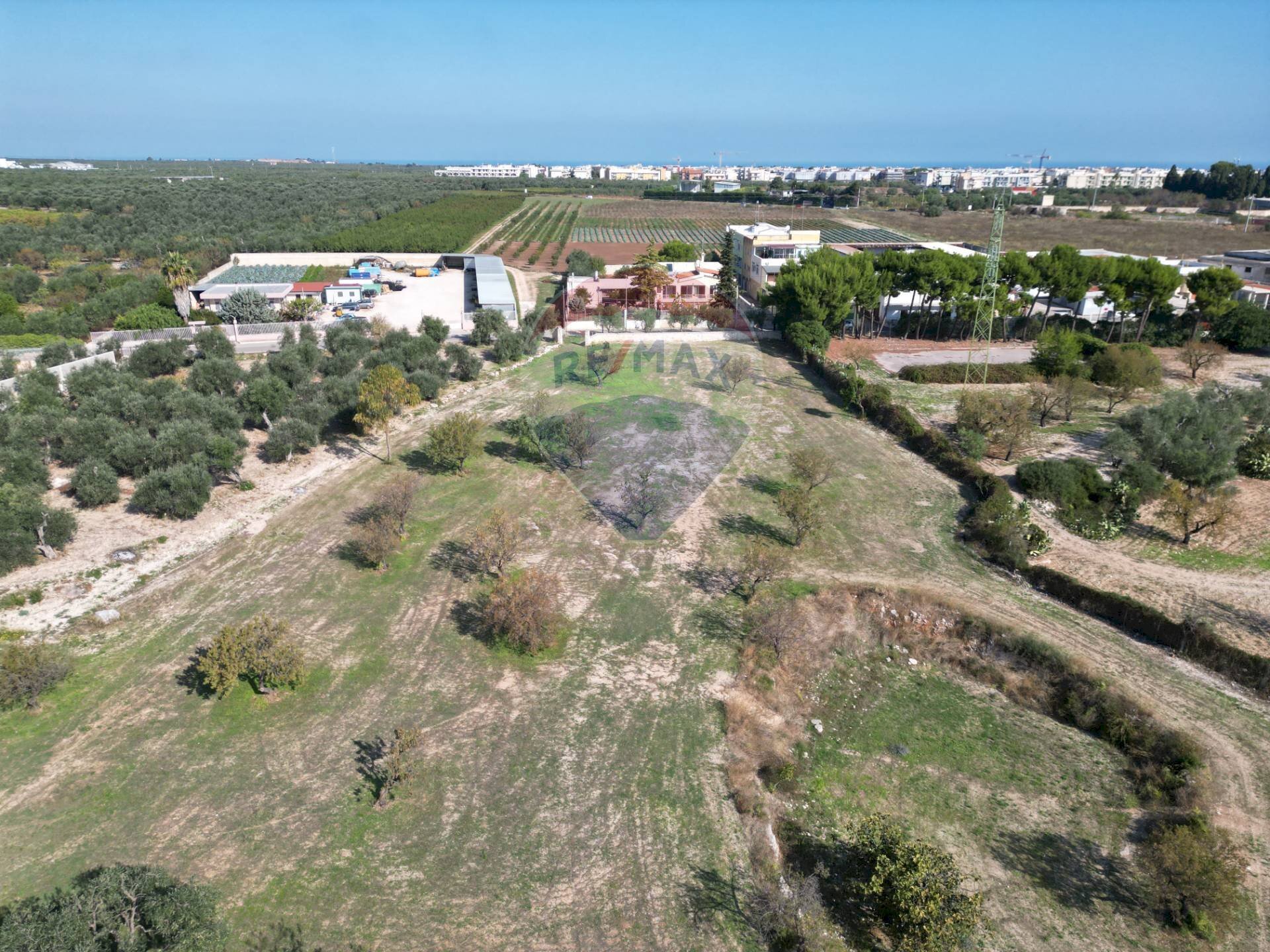 Posizione della mappa - Agricultural land Contrada Casalicchio, Bitonto - photo 3