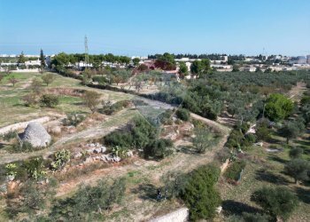 Vista delle montagne - Terreno agricolo Contrada Casalicchio, Bitonto - foto 1
