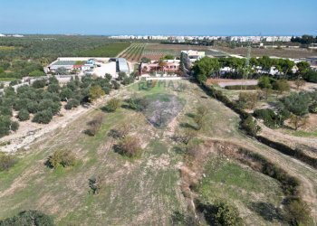 Posizione della mappa - Terreno agricolo Contrada Casalicchio, Bitonto - foto 3