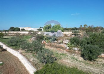 Giardino - Terreno agricolo Contrada Casalicchio, Bitonto - foto 6