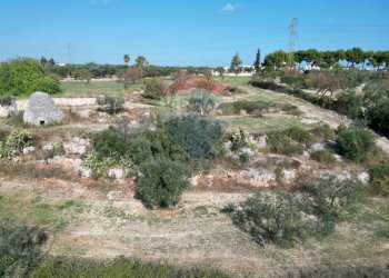 Non correlato - Terreno agricolo Contrada Casalicchio, Bitonto - foto 7