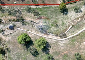 Posizione della mappa - Terreno agricolo Contrada Casalicchio, Bitonto - foto 10