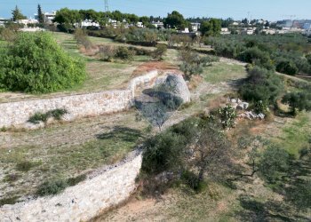 Non correlato - Terreno agricolo Contrada Casalicchio, Bitonto - foto 11