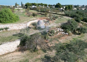 Non correlato - Terreno agricolo Contrada Casalicchio, Bitonto - foto 12