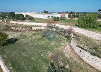 Giardino - Terreno agricolo Contrada Casalicchio, Bitonto - foto 13