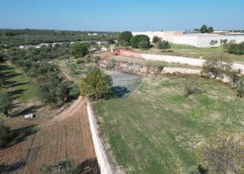 Edificio all\'aperto - Terreno agricolo Contrada Casalicchio, Bitonto - foto 14