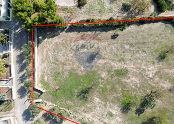 Posizione della mappa - Terreno agricolo Contrada Casalicchio, Bitonto - foto 15