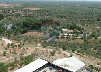 Vista delle montagne - Terreno agricolo Contrada Casalicchio, Bitonto - foto 16