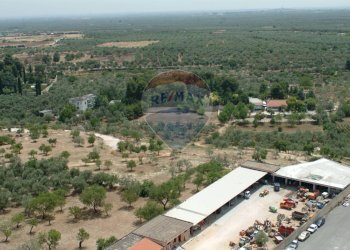 Vista delle montagne - Terreno agricolo Contrada Casalicchio, Bitonto - foto 17