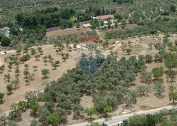 Vista delle montagne - Terreno agricolo Contrada Casalicchio, Bitonto - foto 18