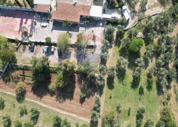 Posizione della mappa - Terreno agricolo Contrada Casalicchio, Bitonto - foto 19