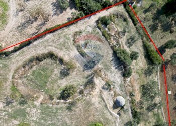 Posizione della mappa - Terreno agricolo Contrada Casalicchio, Bitonto - foto 20