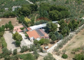 Casa all\'aperto - Terreno agricolo Contrada Casalicchio, Bitonto - foto 21