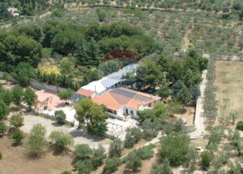 Casa all\'aperto - Terreno agricolo Contrada Casalicchio, Bitonto - foto 22