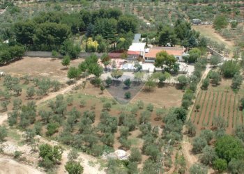 Giardino - Terreno agricolo Contrada Casalicchio, Bitonto - foto 23