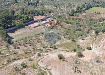 Vista delle montagne - Terreno agricolo Contrada Casalicchio, Bitonto - foto 25