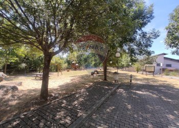 Giardino - Casa indipendente Colledimacine - foto 30