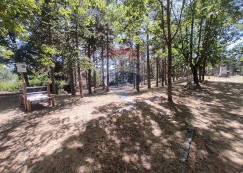 Giardino - Casa indipendente Colledimacine - foto 31