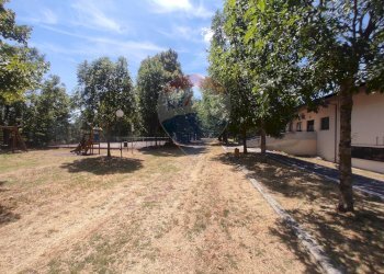 Giardino - Casa indipendente Colledimacine - foto 32