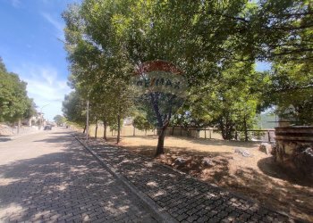 Giardino - Casa indipendente Colledimacine - foto 33