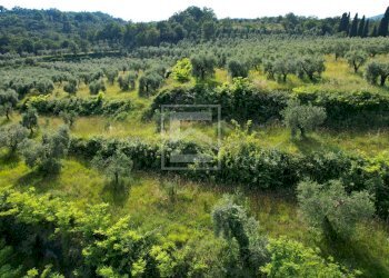 Foto 11 - Rustic via puegnago
2, Salò - photo 11