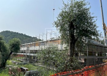 Foto 3 - Villa via pisenze, Manerba del Garda - foto 3