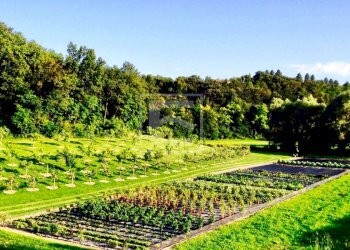 Foto 30 - Villa Via dei Colli
 
15, Soiano del Lago - foto 30