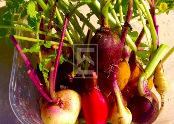 Foto 34 - Villa Via dei Colli
 
15, Soiano del Lago - foto 34