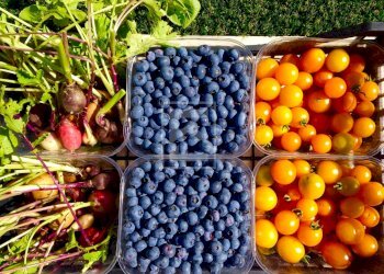 Foto 35 - Villa Via dei Colli
 
15, Soiano del Lago - foto 35