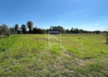 Foto 5 - Agricultural land via valle, Manerba del Garda - photo 5