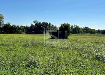 Foto 2 - Agricultural land via valle, Manerba del Garda - photo 2